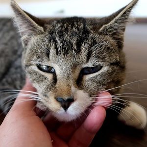 Meet your Posher, Mimmy